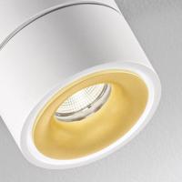 Egger Clippo Duo bodové LED, bielo-zlatá, 3 000 K