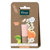 Kneipp Balzam na pery Marhuľa