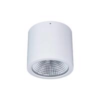 LED stropné svietidlo Button Mini 200 IP54 55° 24 W