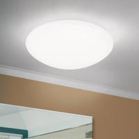 LED stropné svietidlo Nedo zakrivené, Ø 25 cm