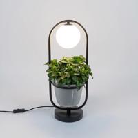 Lindby Orna stolová lampa 1-pl. závesný košík