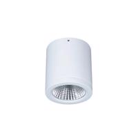 Povrchové LED svietidlo Button Mini 100 IP54 55° 16 W