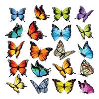 Samolepiaca dekorácia Butterflies, 30 x 30 cm