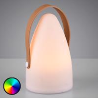 Vonkajšia dekoračná lampa na batérie Haiti RGB